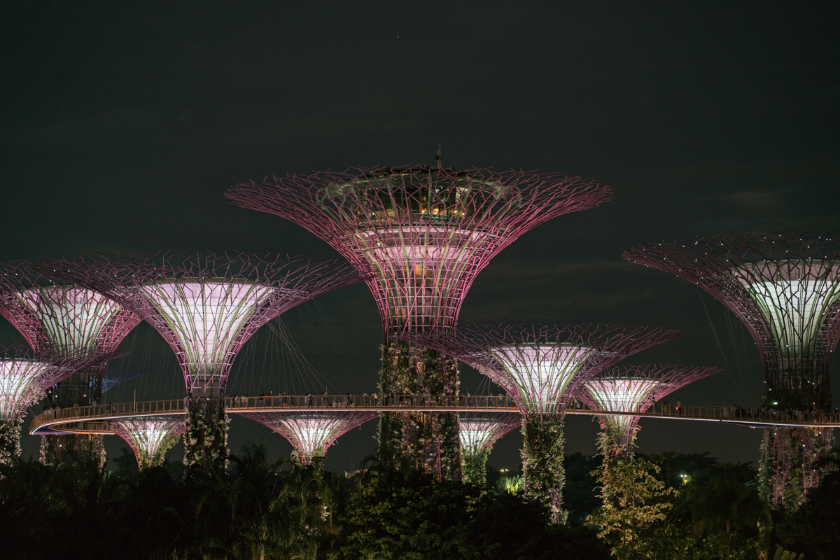 gardens by the bay show