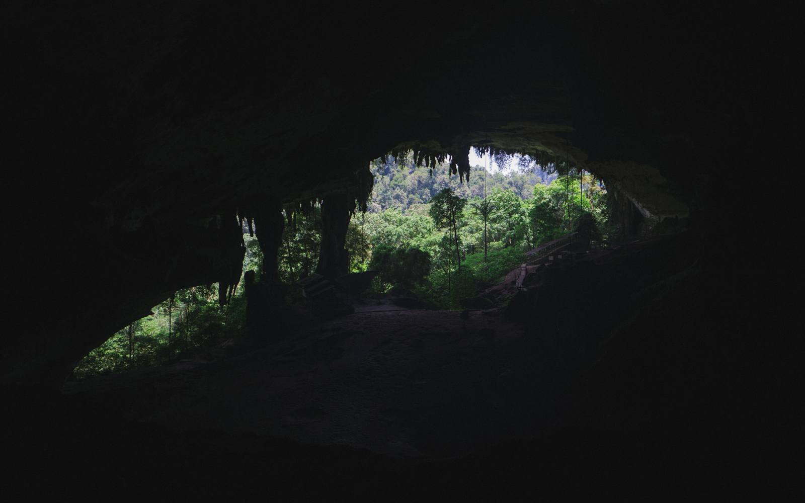 anton dee mulu caves miri national park bat cave