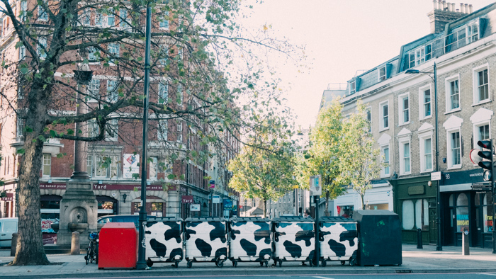 cow banner london street art